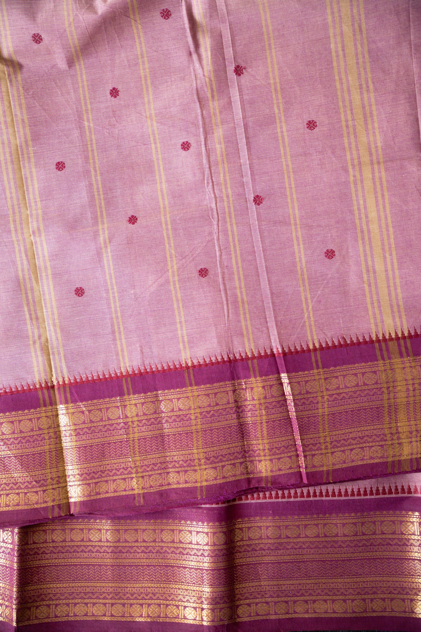 Kanchi Cotton Sari