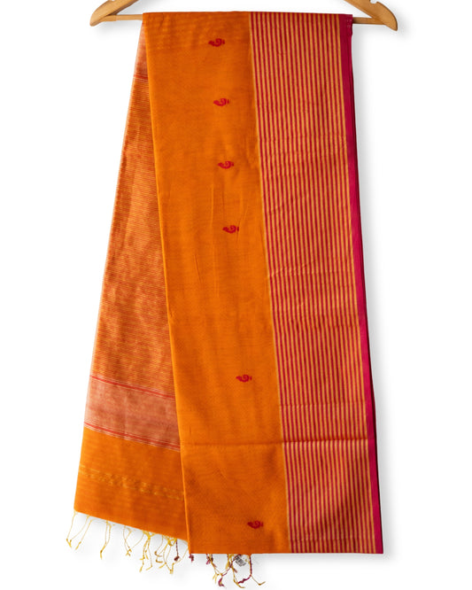 Maheshwari Silk X Cotton