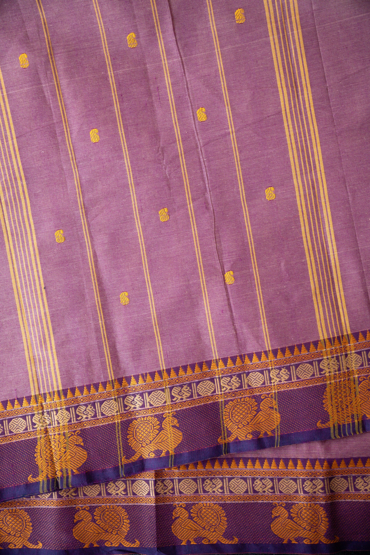 Kanchi Cotton Sari