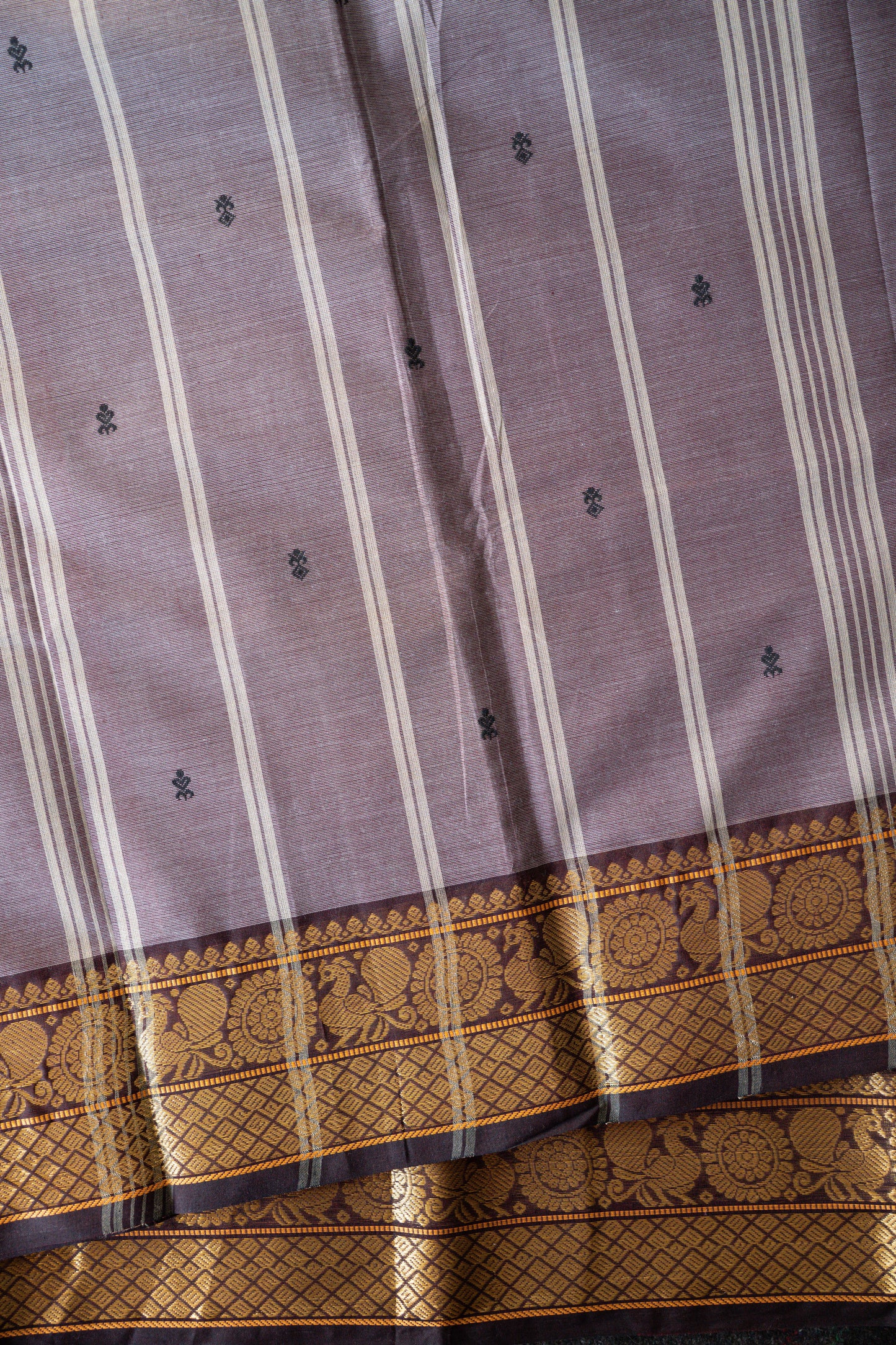 Kanchi Cotton Sari